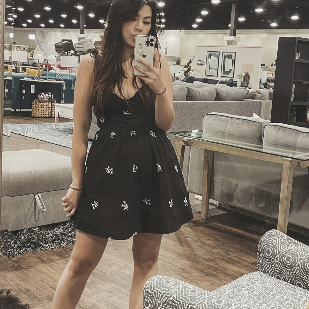 Zara mini dress with embroidery